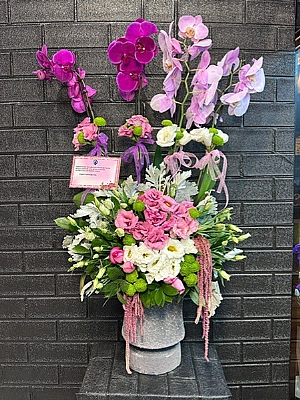 Pembe ve Mor Orkide Arajman